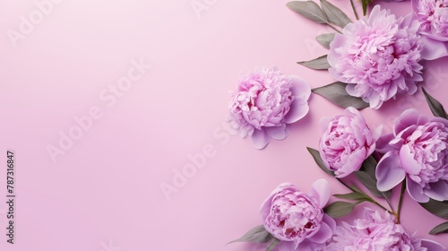 Festive bouquet of delicate peonies in pastel colors. Background for a holiday card or invitation. Blooming spring banner - lilac peonies  top view