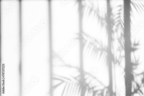 Window shadow png overlay effect, transparent background