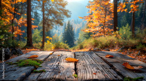 Wooden path in the autumn forest. Beautiful nature background. Autumn landscape.