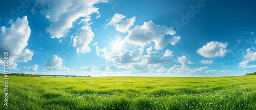 Panoramic natural landscape with green grass field and blue sky with clouds with curved horizon line. 
