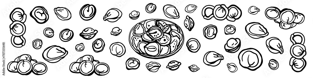 Fototapeta premium Isolated vector set of meat dumplings. Vareniki. Pelmeni. National dishes. Sketch hand drawn Pelmeni. Ukranian, russian food. Products from the dough and meat.