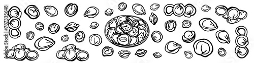 Isolated vector set of meat dumplings. Vareniki. Pelmeni. National dishes. Sketch hand drawn Pelmeni. Ukranian, russian food. Products from the dough and meat.