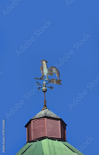 Rooster Weather Vane on Tin Roof