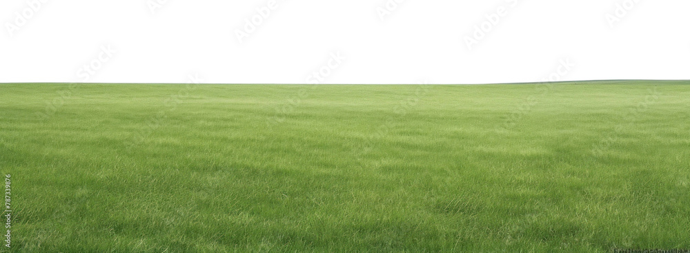 Obraz premium PNG A grassy field with clear blue sky backgrounds outdoors horizon. 