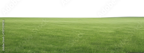 PNG  A grassy field with clear blue sky backgrounds outdoors horizon.  photo