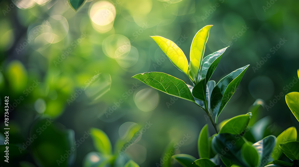 Obraz premium Close up fresh nature view of green leaf on blurred greenery background in garden with copy space using as background natural green plants landscape ecology fresh wallpaper concept : Generative AI