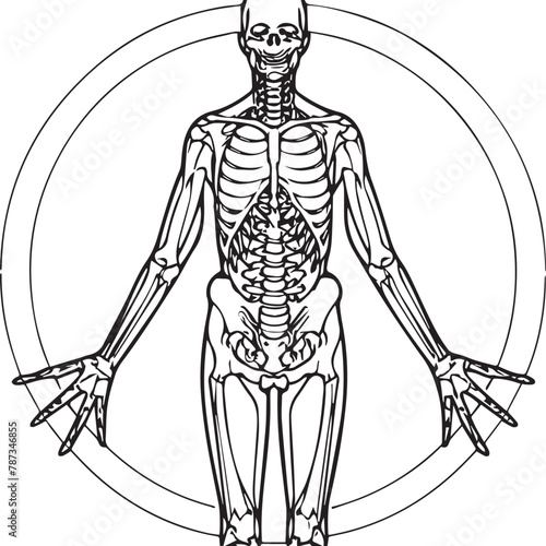 Anatomy coloring pages. Anatomy outline for coloring book