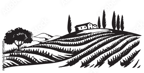 Vineyard landscape, Sketch, hand drawn illustrations.	
