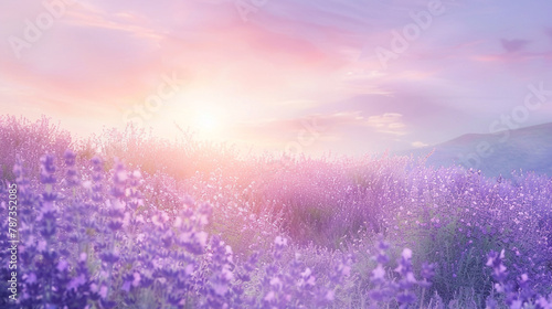 A mix of lavender and peach hues intermingle softly  casting a serene and harmonious glow that calms the mind and spirit.