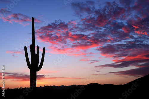 Silhouette of a Saguaro cactus at sunset, Saguaro National Park, Sonoran desert, iconic Arizona and the American Southwest landscape
