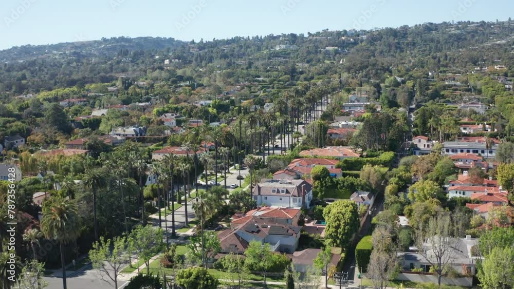 Cinematic aerial view of Beverly Hills homes, palm trees, lush greenery, trees Cinematic aerial view of Beverly Hills homes, palm trees, lush greenery, trees