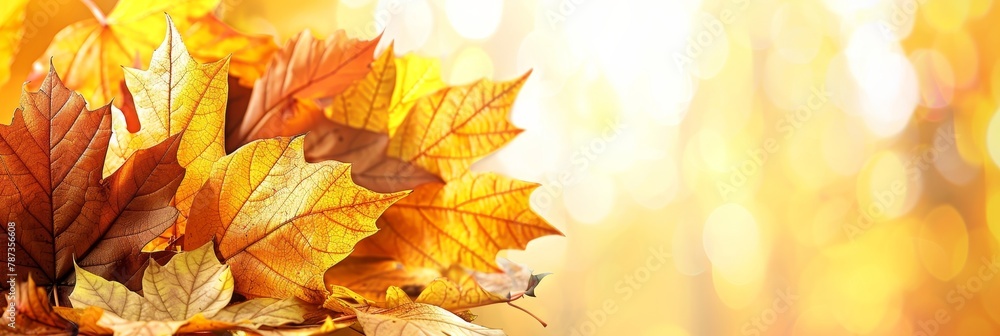 Fototapeta premium Vibrant autumn banner with blurred maple leaves in orange tones for seasonal design