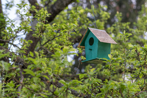 Handcrafted suspended tree birdhouse, immersed in the greenery of nature. © Patrick