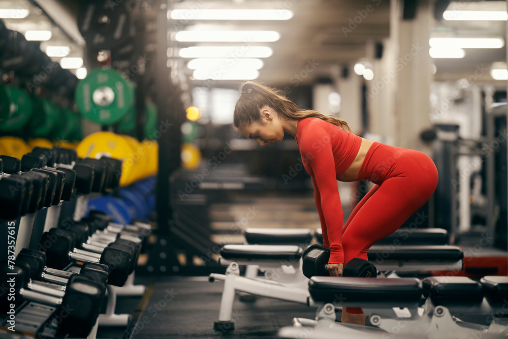 Fototapeta premium A strong sportswoman is lifting dumbbells in a gym.