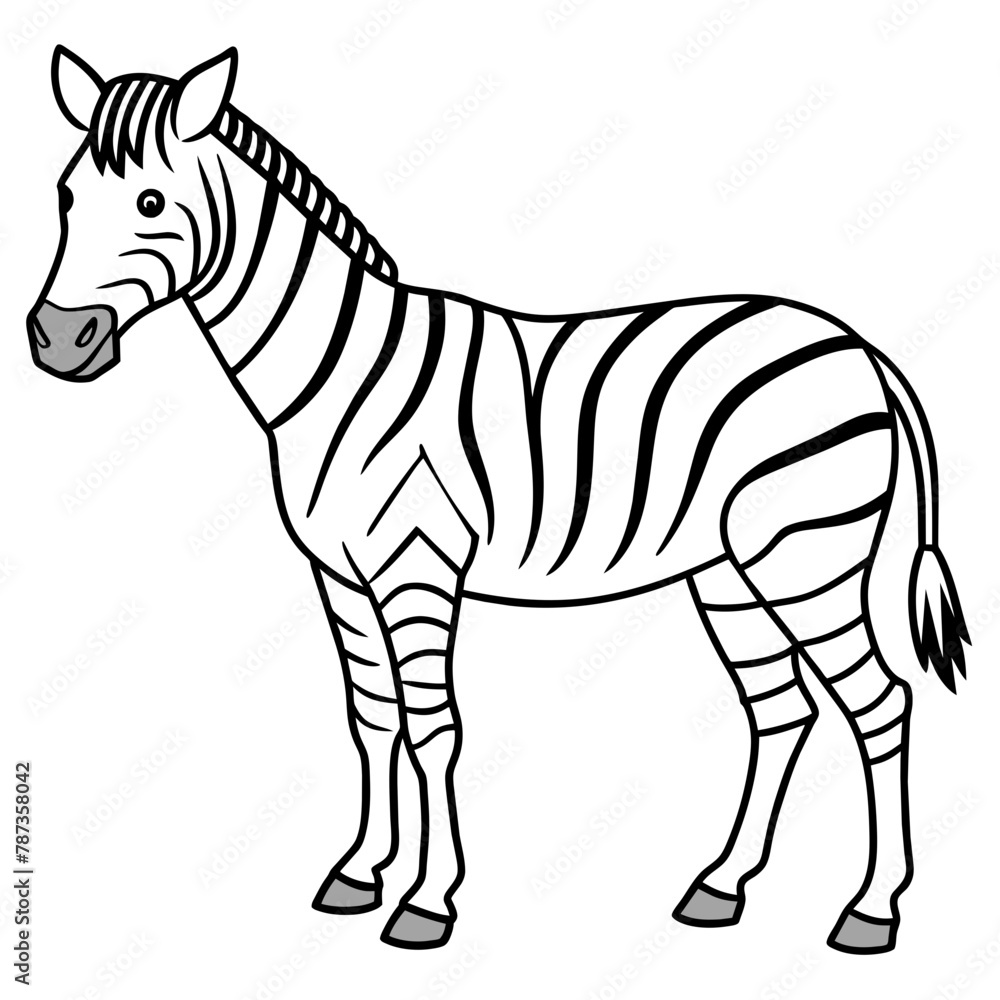 Obraz premium zebra vector illustration