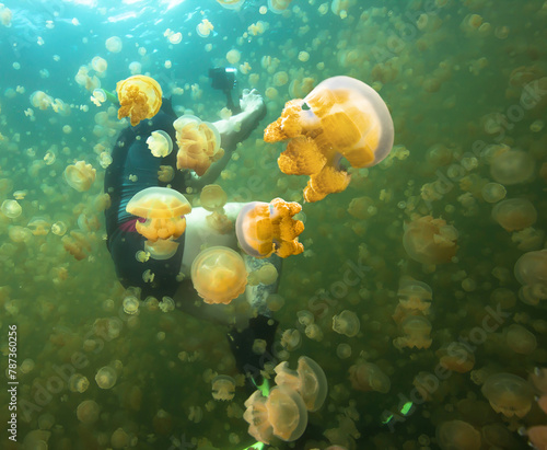 Underwater photographer snorkeling in Jellyfish lake, Palau.
