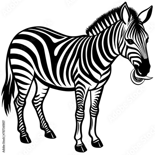 zebra-is-eat vector design 