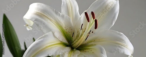 Funeral. White lilies and burning candle indoors, bokeh effect