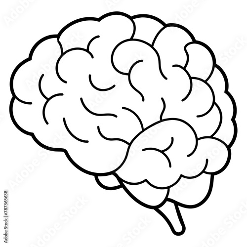 human brain illustration
