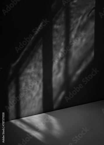 Obraz na płótnie Black white vertical background. Empty dark room with window shadow. Wall floor. Architecture inside interior indoor. Night. Light. Displaying presentation. Product. Stage podium mock up 3D template. w salonie