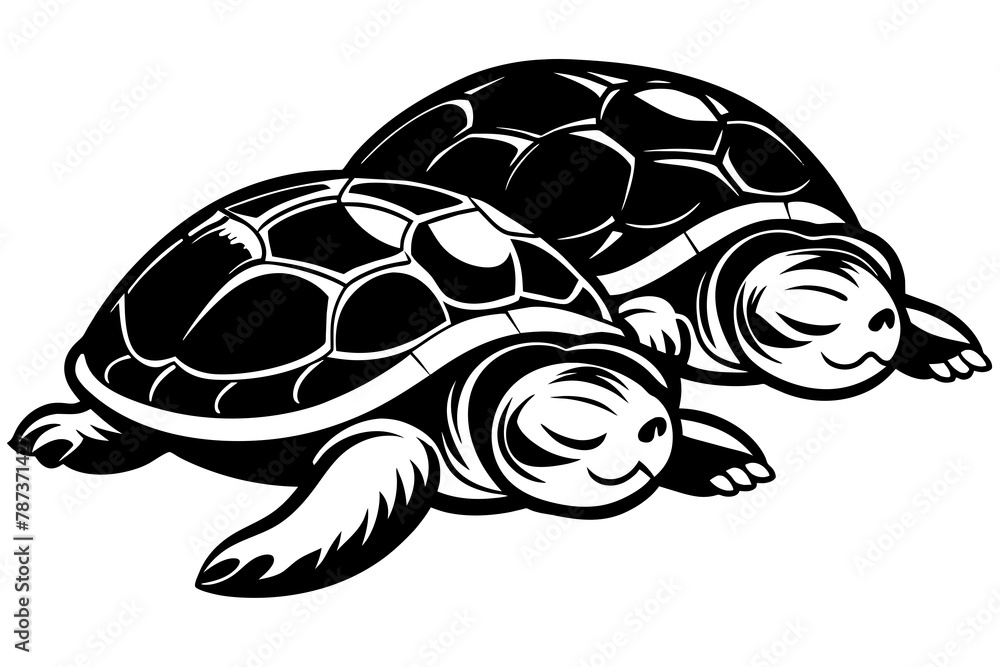 the-turtles-are-sleeping vector illustration the-turtles-are-sleeping vector illustration