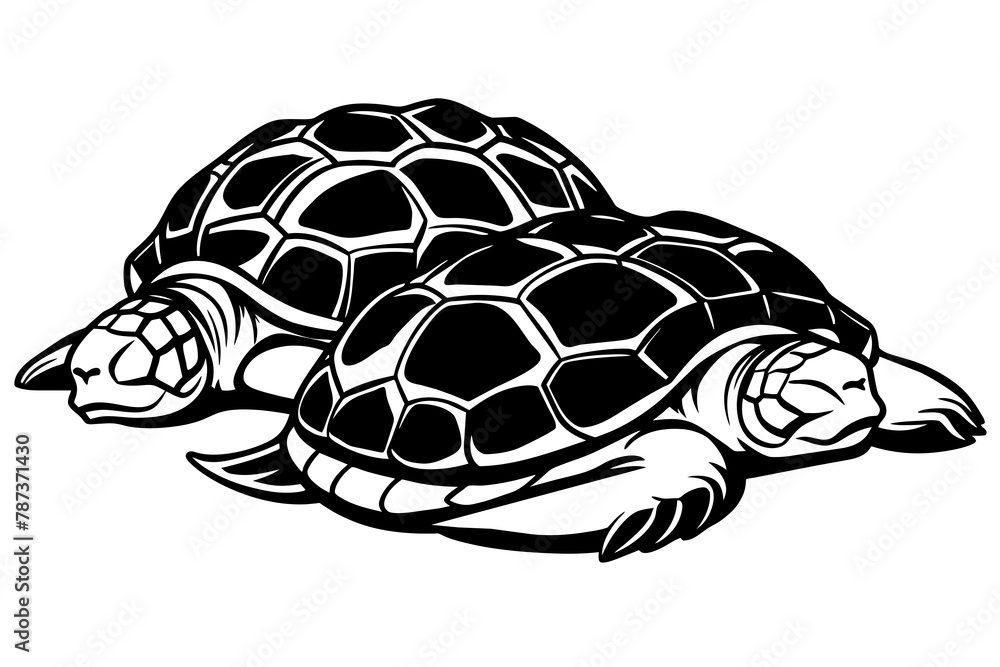 the-turtles-are-sleeping vector illustration the-turtles-are-sleeping vector illustration