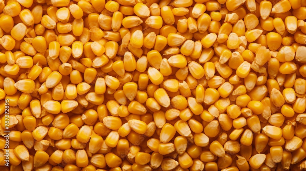Dry yellow corn kernels, corn background. Dry yellow corn kernels, corn background.