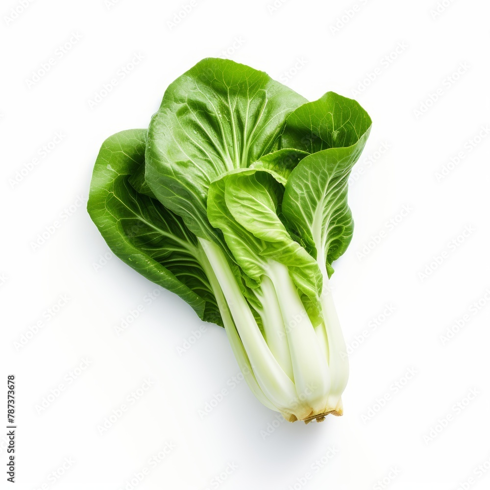 Chinese cabbage pak choi on a white background. Chinese cabbage pak choi on a white background.