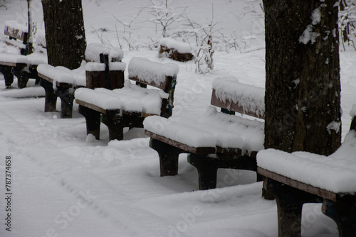 Benches in the park covered in snow. Winter day in Padurea Trivale Trivale Forest Park, (Padurea Trivale) Pitesti, Arges Cointy, Romania photo