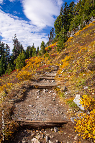 Hiking trail surrounded by lush, fall foliage at Mt. Rainier National Park in Washington state
