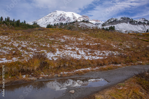 A puddle reflection of Mt. Rainier and a light dusting of snow partially covers fall foliage at Mt. Rainier National Park in Washington state
