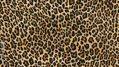 Obraz leopard fur real texture hairy background