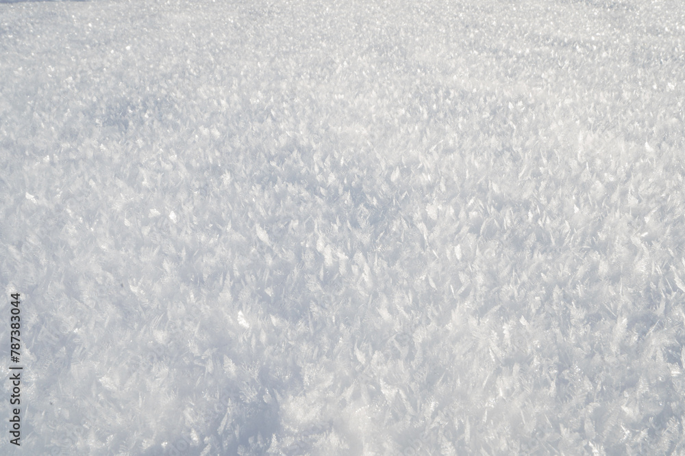 Obraz premium Gefrohrene Eiskristalle auf einer weißen Schneeschicht im Winter