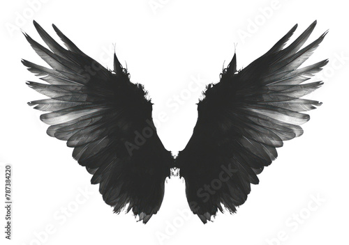 PNG Hand drawn angel wing blackbird agelaius animal photo