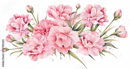 Bouquet of watercolor carnations flowers . Floral background. For posters, greeting card, invitations. photo