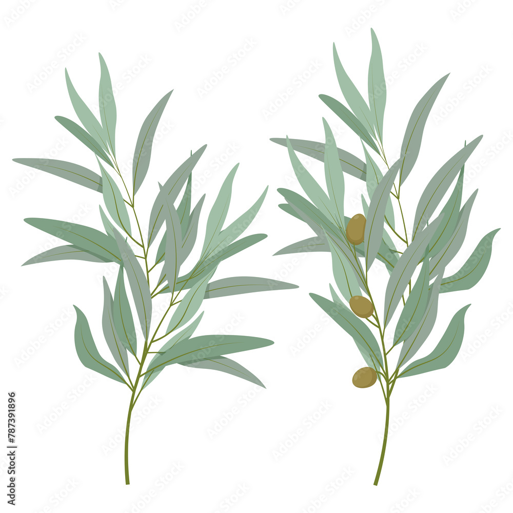 Obraz premium Set of olive branches with olives and leaves