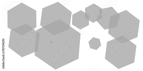 Abstract gray hexagon and hexagonal lines on white background. abstract 3d hexagonal background with shadow. Vector illustration. Hexagonal honeycomb pattern background with space for text.