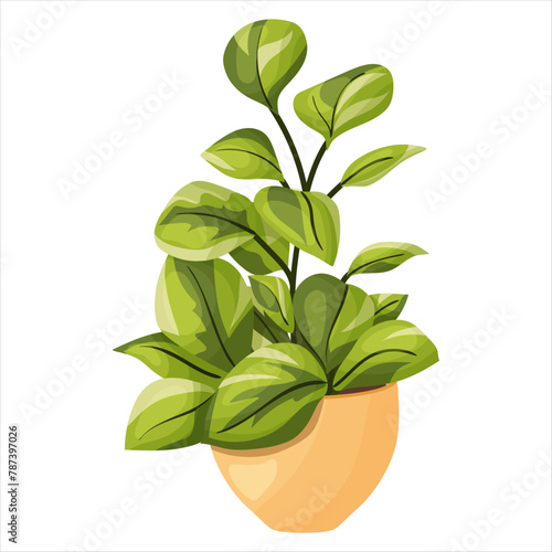 Vector illustration of a potted houseplant with leaves.