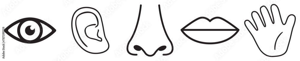 Human sense icons. Five human senses icons. Vision smell hearing touch taste senses fillings. Five fillings icons. Vector Illustration. Vector Graphic. EPS 10 . White background Human sense icons. Five human senses icons. Vision smell hearing touch taste senses fillings. Five fillings icons. Vector Illustration. Vector Graphic. EPS 10 . White background