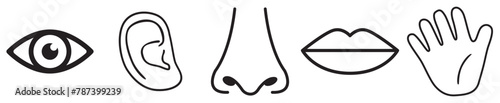 Human sense icons. Five human senses icons. Vision smell hearing touch taste senses fillings. Five fillings icons. Vector Illustration. Vector Graphic. EPS 10 . White background