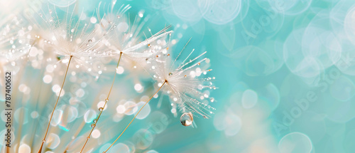 Dew-covered dandelion seeds against a bokeh blue background. Minimal banner with copy space. Generative AI