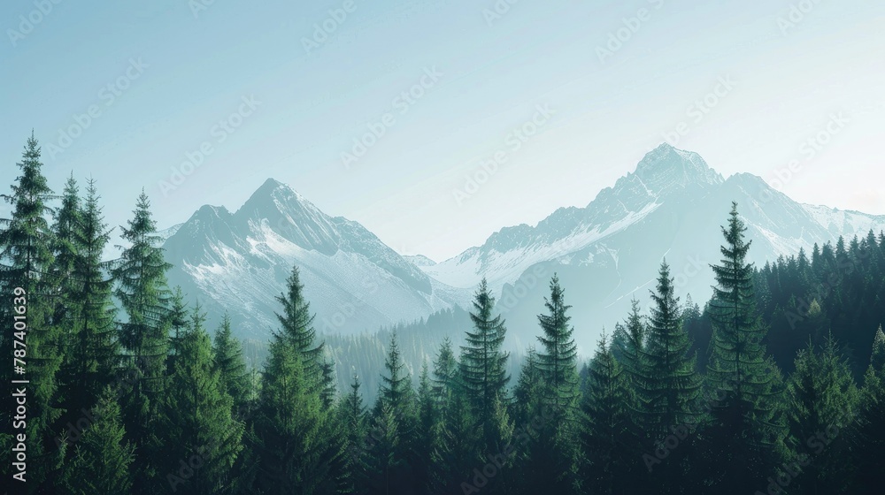 Clear sky by mountain and extensive tree forest - obrazy, fototapety, plakaty 