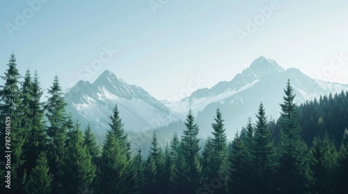 Clear sky by mountain and extensive tree forest