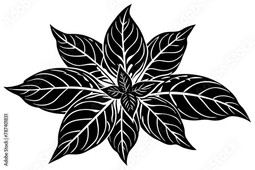 Balsam vector illustration white background