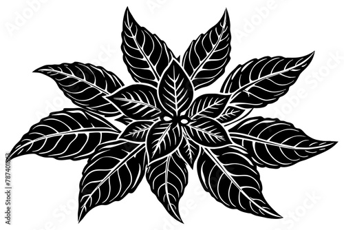 Balsam vector illustration white background