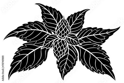 Balsam vector illustration white background