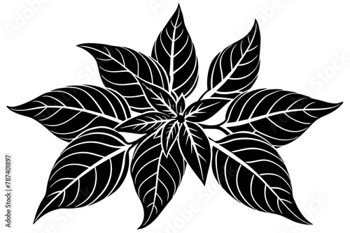 Balsam vector illustration white background