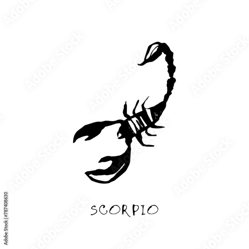 Scorpio zodiac sign, quirky horoscope icon, hand drawn vector illustration, black line art, tattoo design