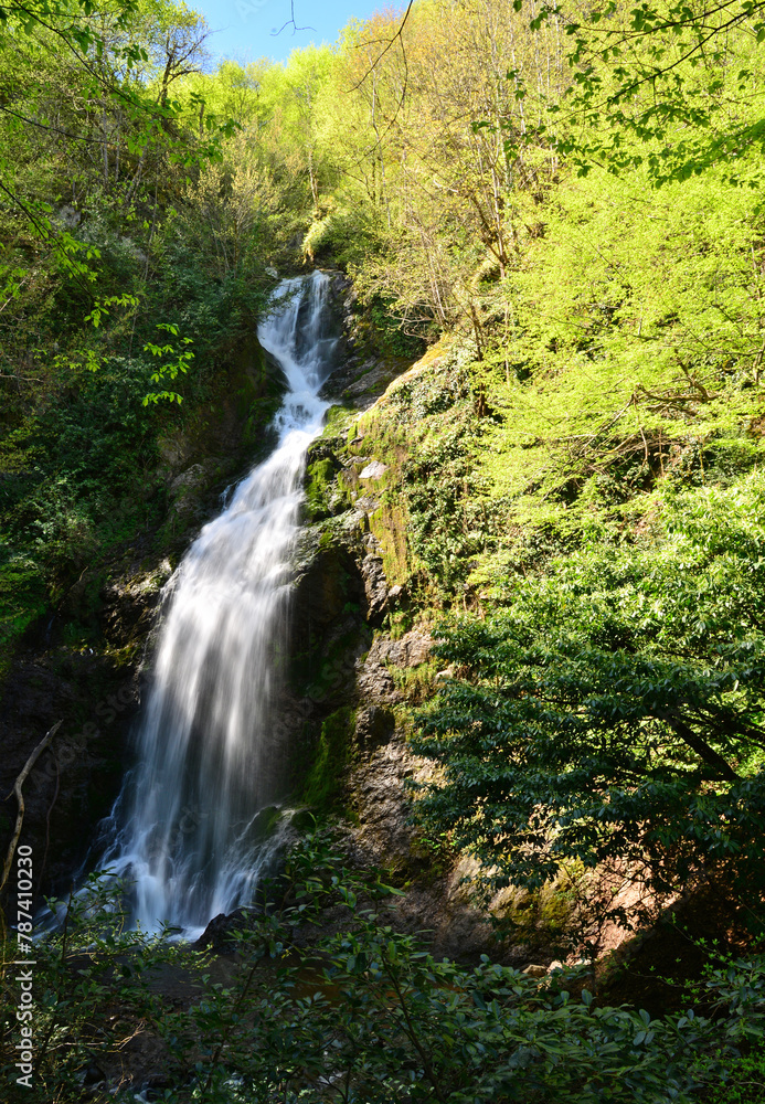 Aydinpinar Waterfalls, located in Duzce, Turkey, are one of the most beautiful waterfalls in the country. Aydinpinar Waterfalls, located in Duzce, Turkey, are one of the most beautiful waterfalls in the country.