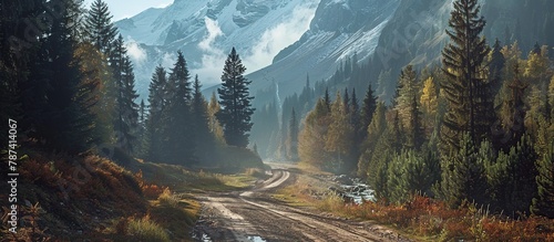 Mountain landscape dirt road nature forest outdoor, mountain nature road background.
